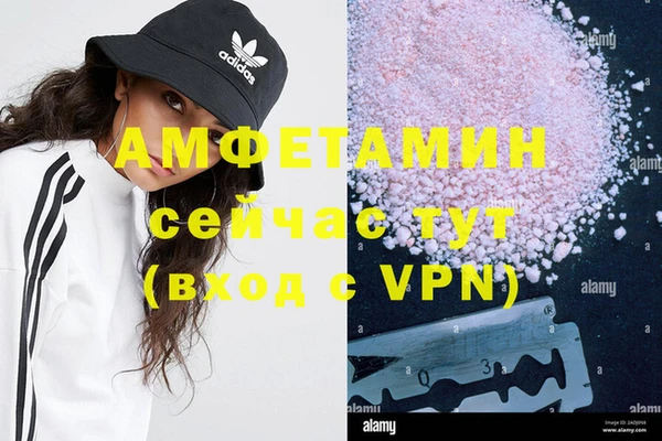 прущие грибы Аркадак