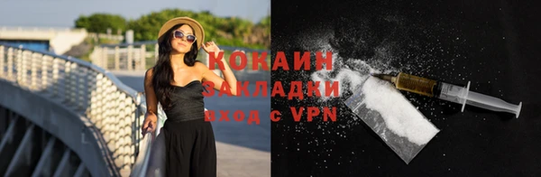 прущие грибы Аркадак