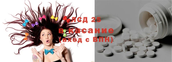 прущие грибы Аркадак