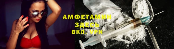 прущие грибы Аркадак