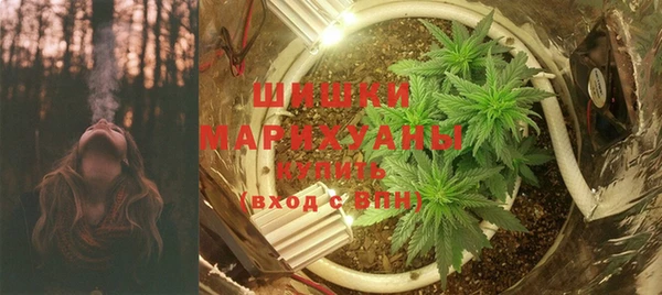 прущие грибы Аркадак