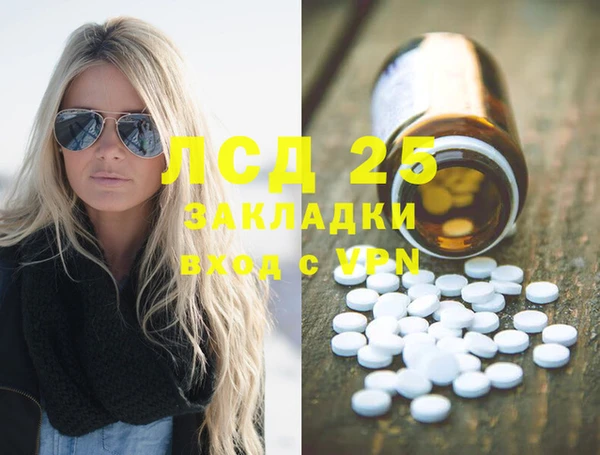 прущие грибы Аркадак
