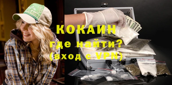 дживик Арсеньев