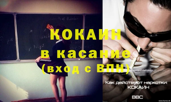 прущие грибы Аркадак