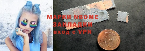 прущие грибы Аркадак
