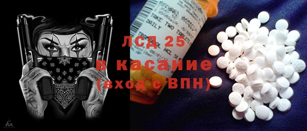 прущие грибы Аркадак
