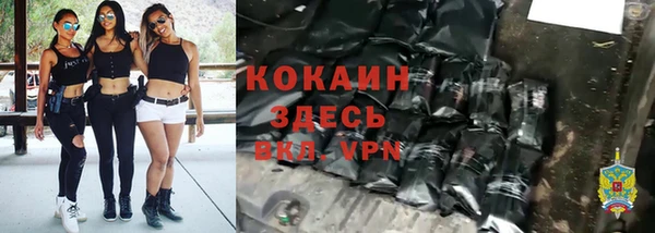 дживик Арсеньев