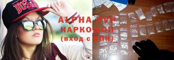 прущие грибы Аркадак