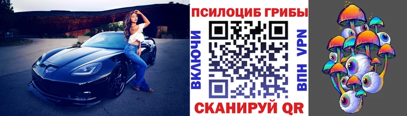 Галлюциногенные грибы Psilocybine cubensis  хочу наркоту  Сельцо 